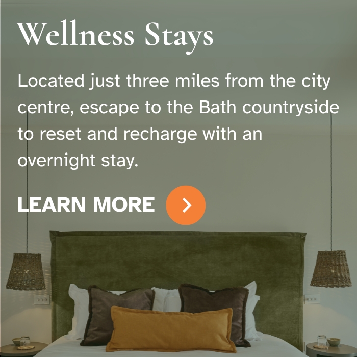 Wellness Stay