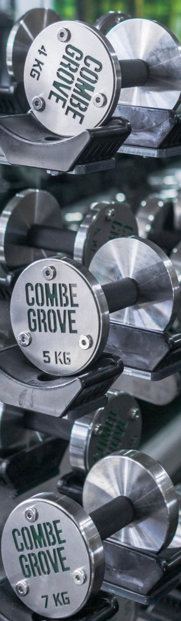 Combe Grove gym dumbells