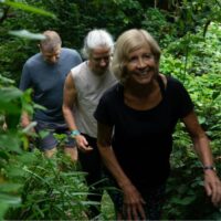 Environment - clients walking through woodland