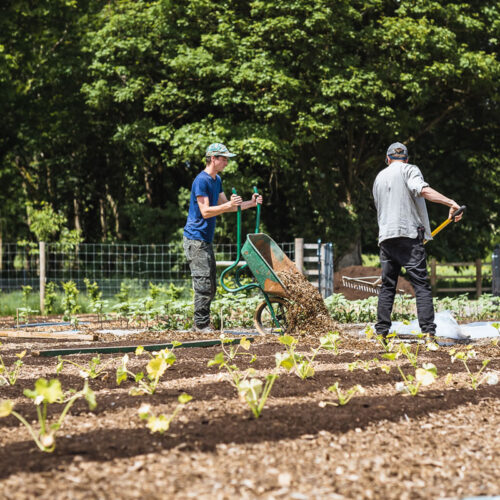 Combe Grove Kitchen Garden